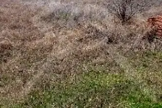 Парцел в Пловдив, с. Бенковски