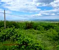 Снимка 3 — Парцел в Пловдив, с. Брестник