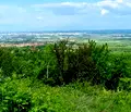 Снимка 4 — Парцел в Пловдив, с. Брестник