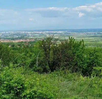 Photo 4 — Plot in Oblast Plovdiv, Brestnik