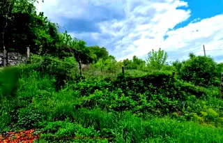 Парцел в Пловдив, с. Брестник