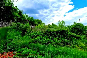 Парцел в Пловдив, с. Брестник