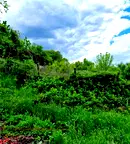 Парцел в Пловдив, с. Брестник