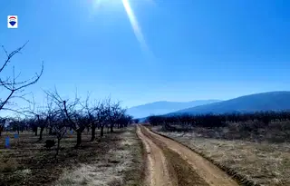 Парцел в Пловдив, с. Брестник