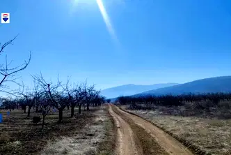 Парцел в Пловдив, с. Брестник