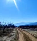 Парцел в Пловдив, с. Брестник