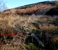 Снимка 2 — Парцел в Пловдив, с. Брестовица