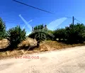 Снимка 3 — Парцел в Пловдив, с. Цалапица