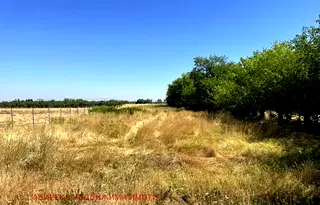 Парцел в Пловдив, с. Цалапица
