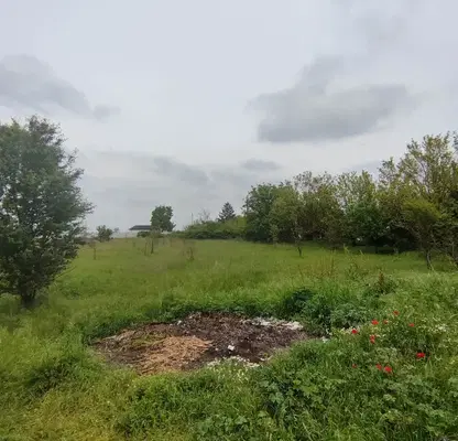 Снимка 4 — Парцел в Пловдив, с. Динк