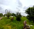 Снимка 5 — Парцел в Пловдив, с. Динк