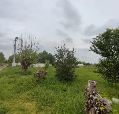 Снимка 5 — Парцел в Пловдив, с. Динк
