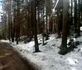 Снимка 2 — Парцел в Пловдив, с. Гълъбово