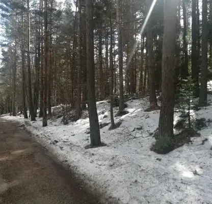 Photo 2 — Plot in Oblast Plovdiv, Gylybovo