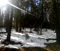 Снимка 3 — Парцел в Пловдив, с. Гълъбово