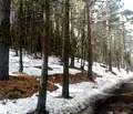 Снимка 4 — Парцел в Пловдив, с. Гълъбово