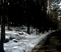 Снимка 5 — Парцел в Пловдив, с. Гълъбово