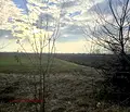 Снимка 2 — Парцел в Пловдив, с. Крумово