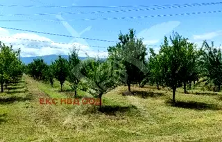 Парцел в Пловдив, с. Крумово