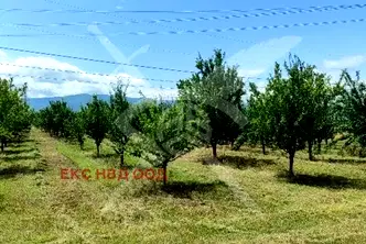 Парцел в Пловдив, с. Крумово