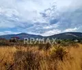 Снимка 2 — Парцел в Пловдив, с. Марково
