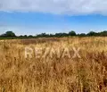 Снимка 5 — Парцел в Пловдив, с. Марково