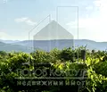 Снимка 2 — Парцел в Пловдив, с. Марково