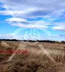 Парцел в Пловдив, с. Оризари