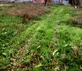 Снимка 2 — Парцел в Пловдив, с. Радиново