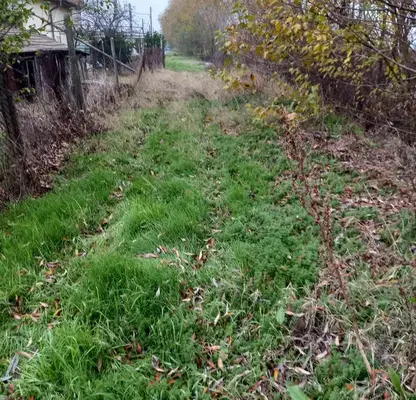 Снимка 5 — Парцел в Пловдив, с. Радиново