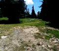 Снимка 2 — Парцел в Пловдив, с. Ситово