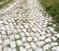 Снимка 4 — Парцел в Пловдив, с. Ситово