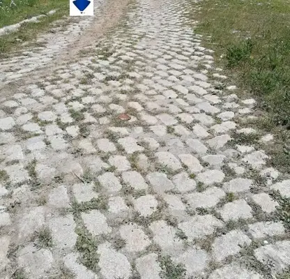 Снимка 4 — Парцел в Пловдив, с. Ситово