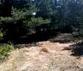 Снимка 4 — Парцел в Пловдив, с. Ситово