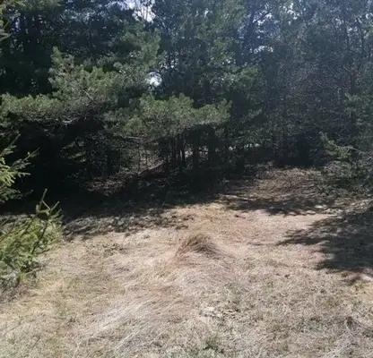Photo 4 — Plot in Oblast Plovdiv, Sitovo