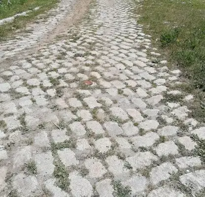 Снимка 5 — Парцел в Пловдив, с. Ситово