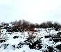Снимка 5 — Парцел в Пловдив, с. Старо Железаре