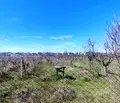 Снимка 2 — Парцел в Пловдив, с. Златитрап