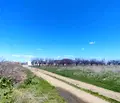 Снимка 4 — Парцел в Пловдив, с. Златитрап