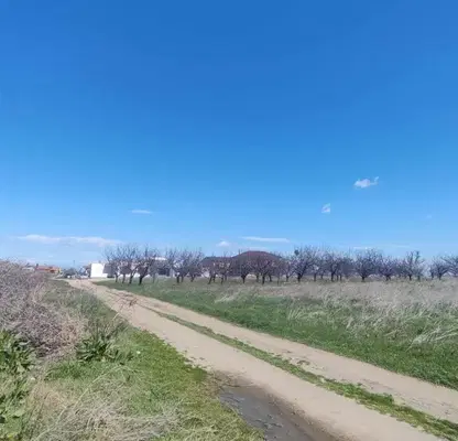 Photo 4 — Plot in Oblast Plovdiv, Zlatitrap