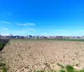 Снимка 5 — Парцел в Пловдив, с. Златитрап