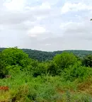 Парцел в Русе, с. Брестовица