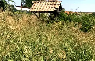 Парцел в Русе, с. Червена вода