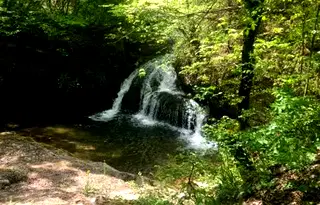 Парцел в Шумен, Върбица