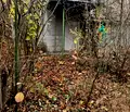 Снимка 2 — Парцел в Шумен, с. Желъд