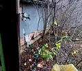 Снимка 3 — Парцел в Шумен, с. Желъд
