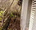 Снимка 5 — Парцел в Шумен, с. Желъд