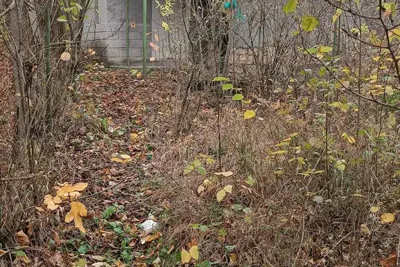Plot in Oblast Shumen, с. Желъд