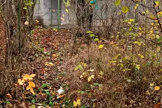 Парцел в Шумен, с. Желъд