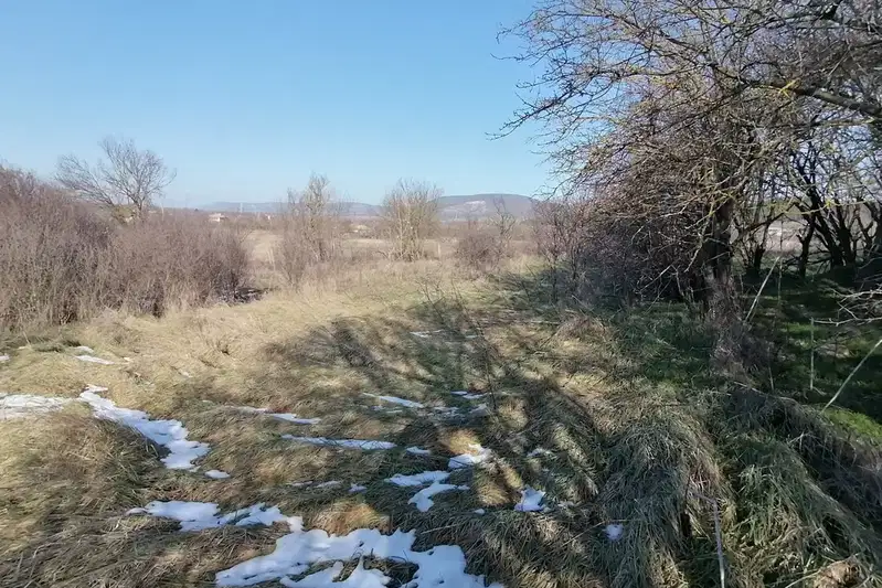 Plot in Oblast Shumen, Zaichino Oreshe